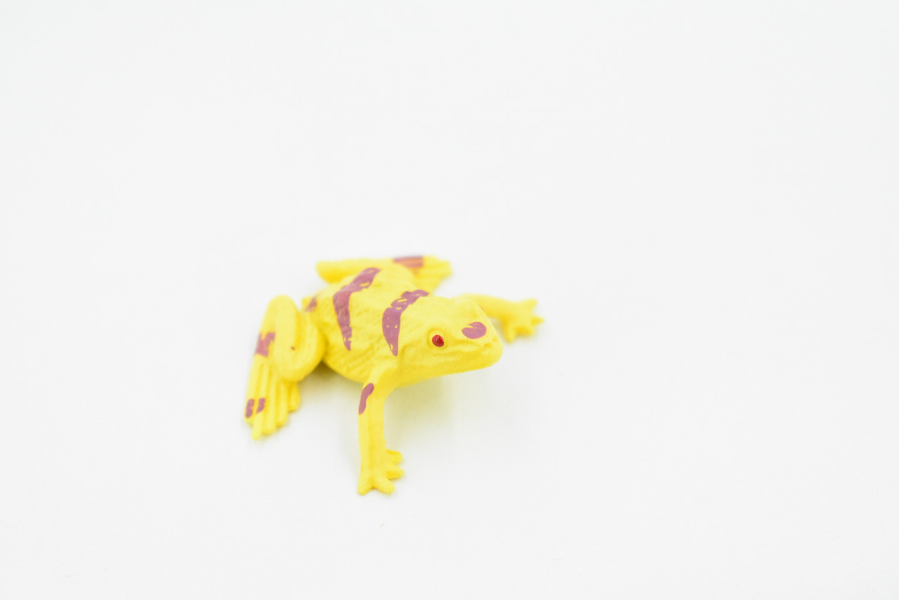 Yellow-banded poison dart frog, Arrow Frog, Very Nice Plastic Design, Educational, Diorama, Realistic Figure, Lifelike, Toy, Kids, Gift,   1 1/2 Inches.   CWG19 B47
