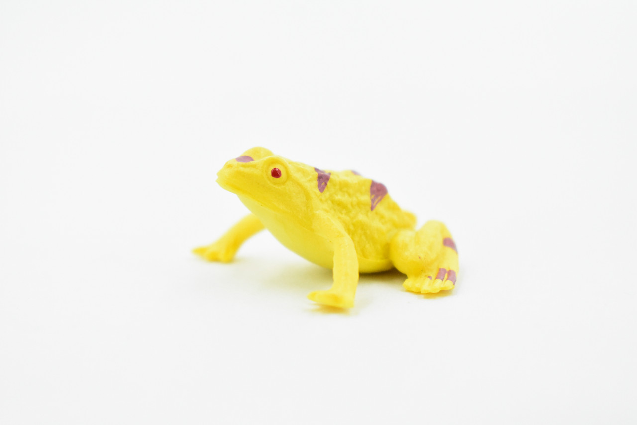 Frog, Yellow Poison Dart Frog, Plastic Toy, Realistic, Figure, Model, Replica, Kids, Educational, Gift,    1 1/2"   CWG19 B47