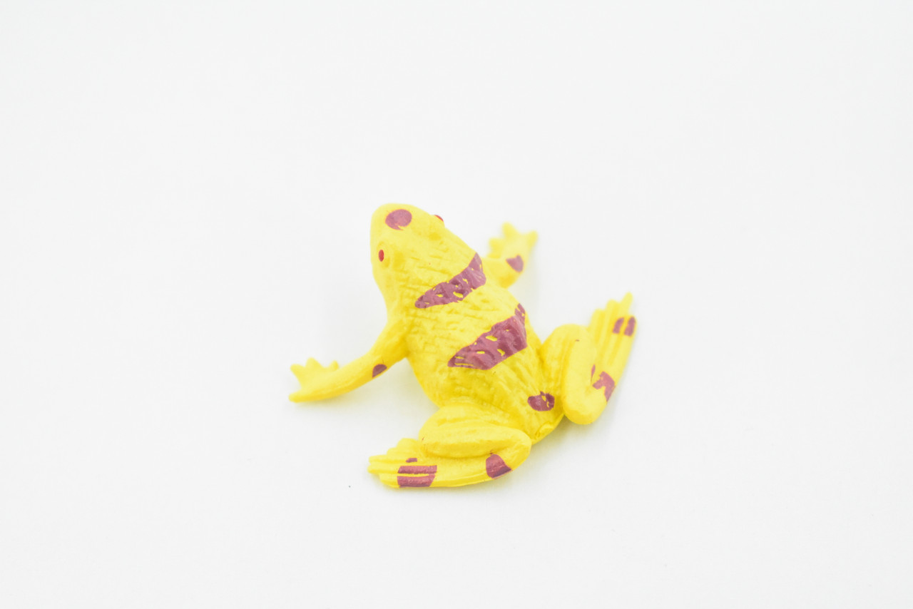 Yellow-banded poison dart frog, Arrow Frog, Very Nice Plastic Design, Educational, Diorama, Realistic Figure, Lifelike, Toy, Kids, Gift,   1 1/2 Inches.   CWG19 B47