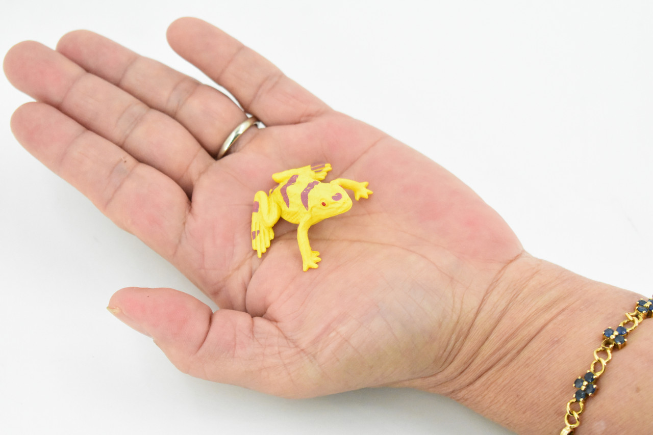 Yellow-banded poison dart frog, Arrow Frog, Very Nice Plastic Design, Educational, Diorama, Realistic Figure, Lifelike, Toy, Kids,  1 1/2 Inches. 