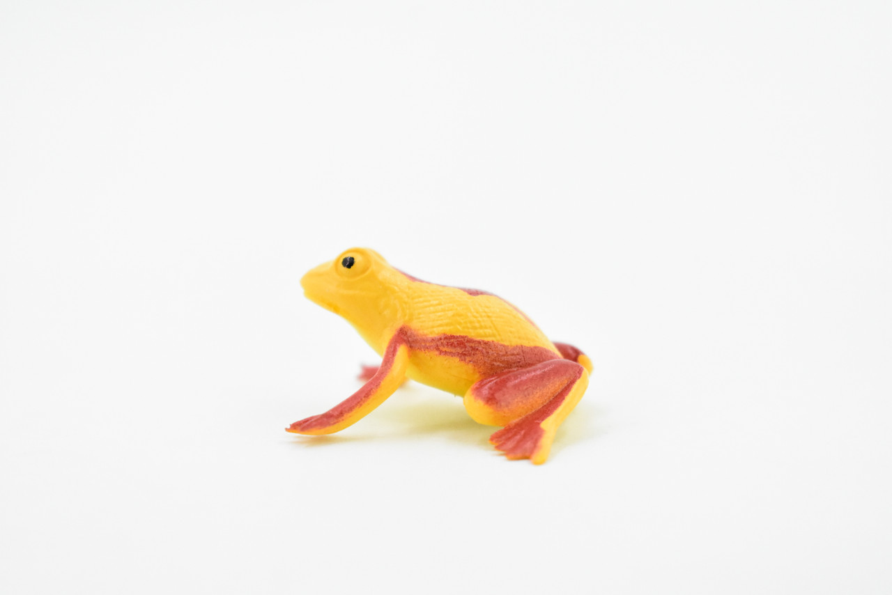 Panamanian golden frog, Poison Dart Fire Frog, Arrow Frog, Very Nice Plastic Design, Educational, Diorama, Realistic Figure, Toy, Kids, Gift,  1 1/2 Inches.  WG20 B47