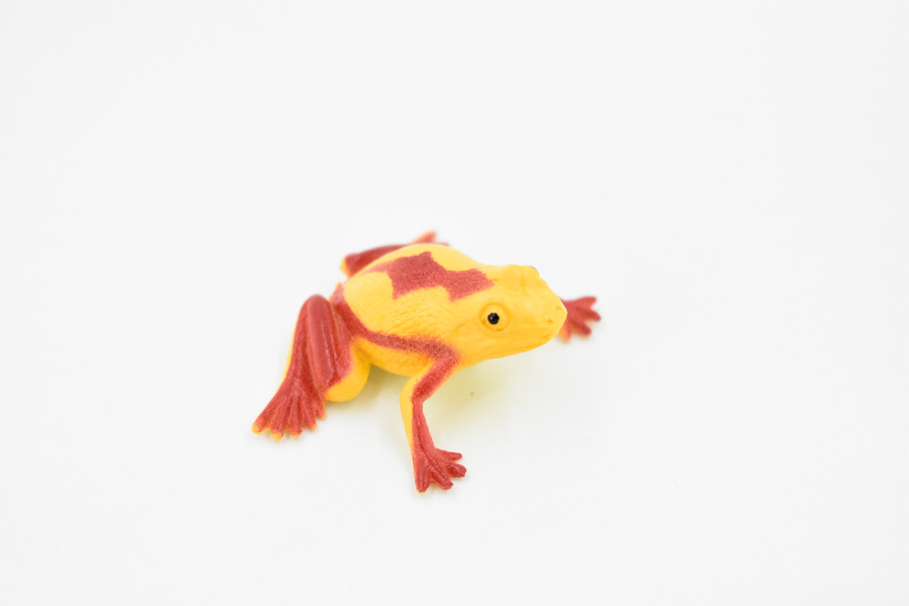 Panamanian golden frog, Poison Dart Fire Frog, Arrow Frog, Very Nice Plastic Design, Educational, Diorama, Realistic Figure, Toy, Kids, Gift,  1 1/2 Inches.  WG20 B47