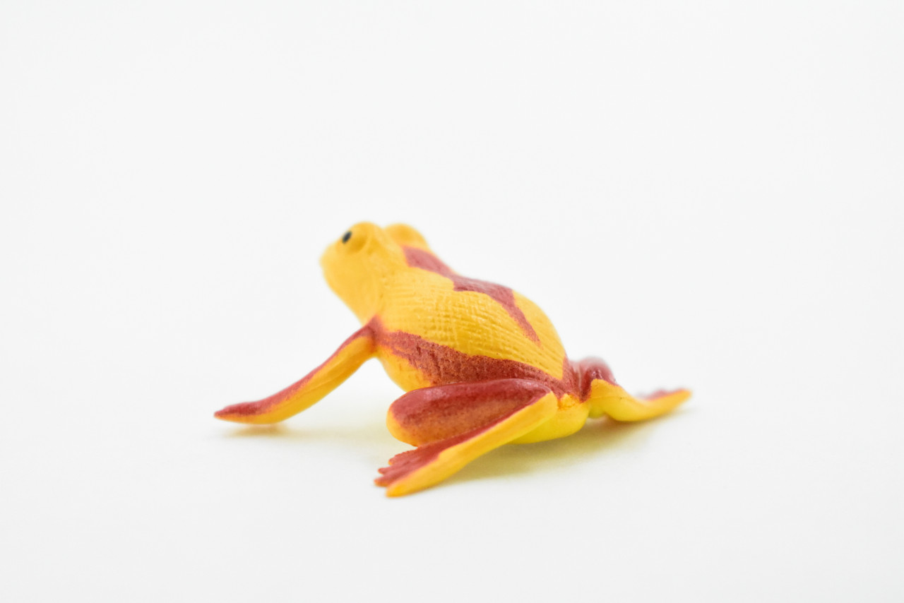 Panamanian golden frog, Poison Dart Fire Frog, Arrow Frog, Very Nice Plastic Design, Educational, Diorama, Realistic Figure, Toy, Kids, Gift,  1 1/2 Inches.  WG20 B47