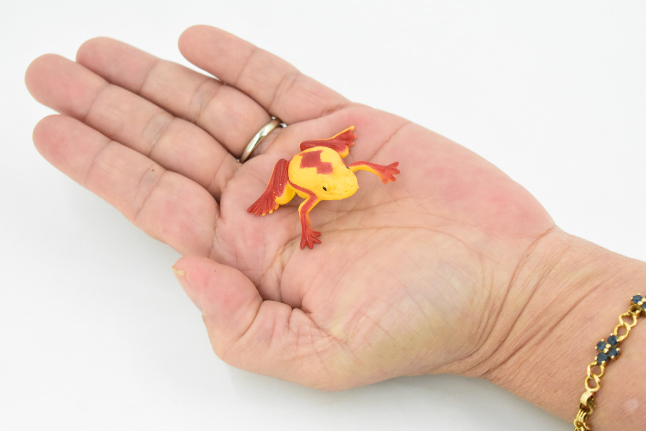 Panamanian golden frog, Poison Dart Fire Frog, Arrow Frog, Very Nice Plastic Design, Educational, Diorama, Realistic Figure, Toy, Kids, 1 1/2 Inches. 