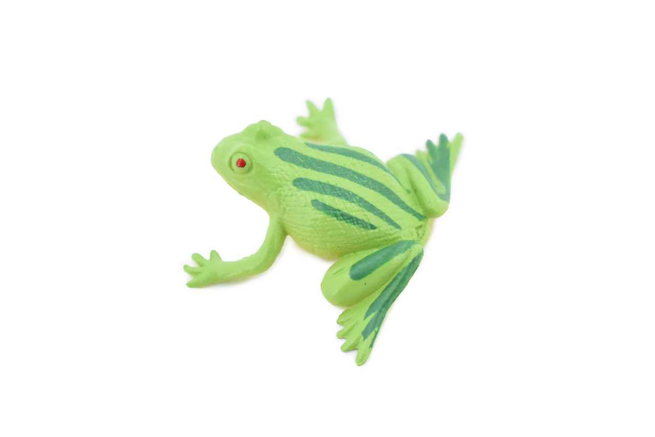 Frog, Green Striped Frog, Plastic Toy, Realistic, Figure, Model, Replica, Kids, Educational, Gift,    1 1/2"    CWG21 B47