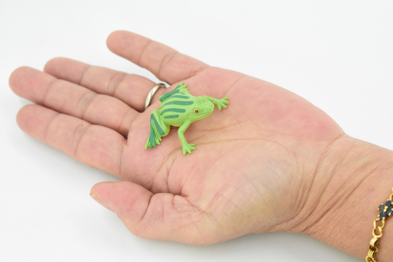 Green Striped Frog, Giant Burrowing Frog, Very Nice Plastic Design, Educational, Diorama, Realistic Figure, Toy, Kids,  1 1/2 Inches.