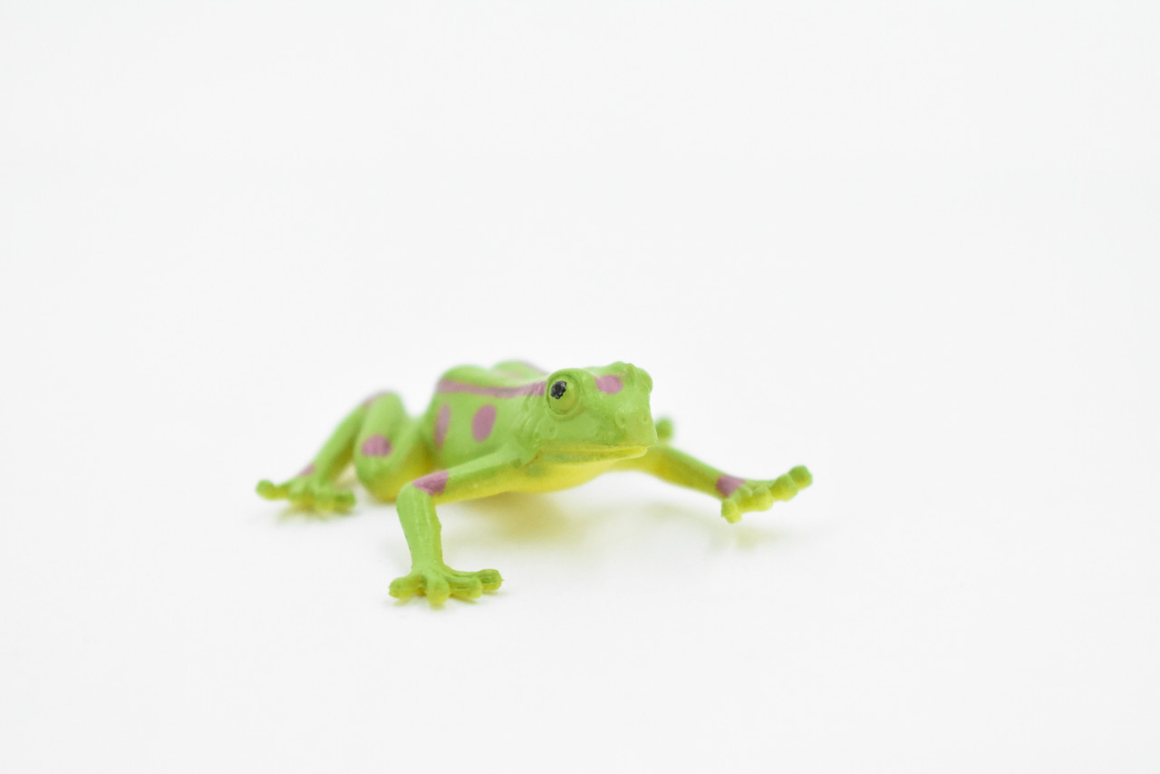 Frog, Green Spotted Frog, Plastic Toy, Realistic, Figure, Model, Replica, Kids, Educational, Gift,      1 1/2"    CWG22 B47