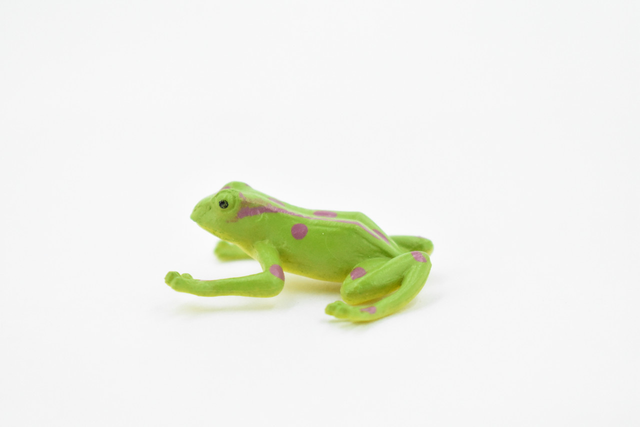 Frog, Green Spotted Frog, Plastic Toy, Realistic, Figure, Model, Replica, Kids, Educational, Gift,      1 1/2"    CWG22 B47