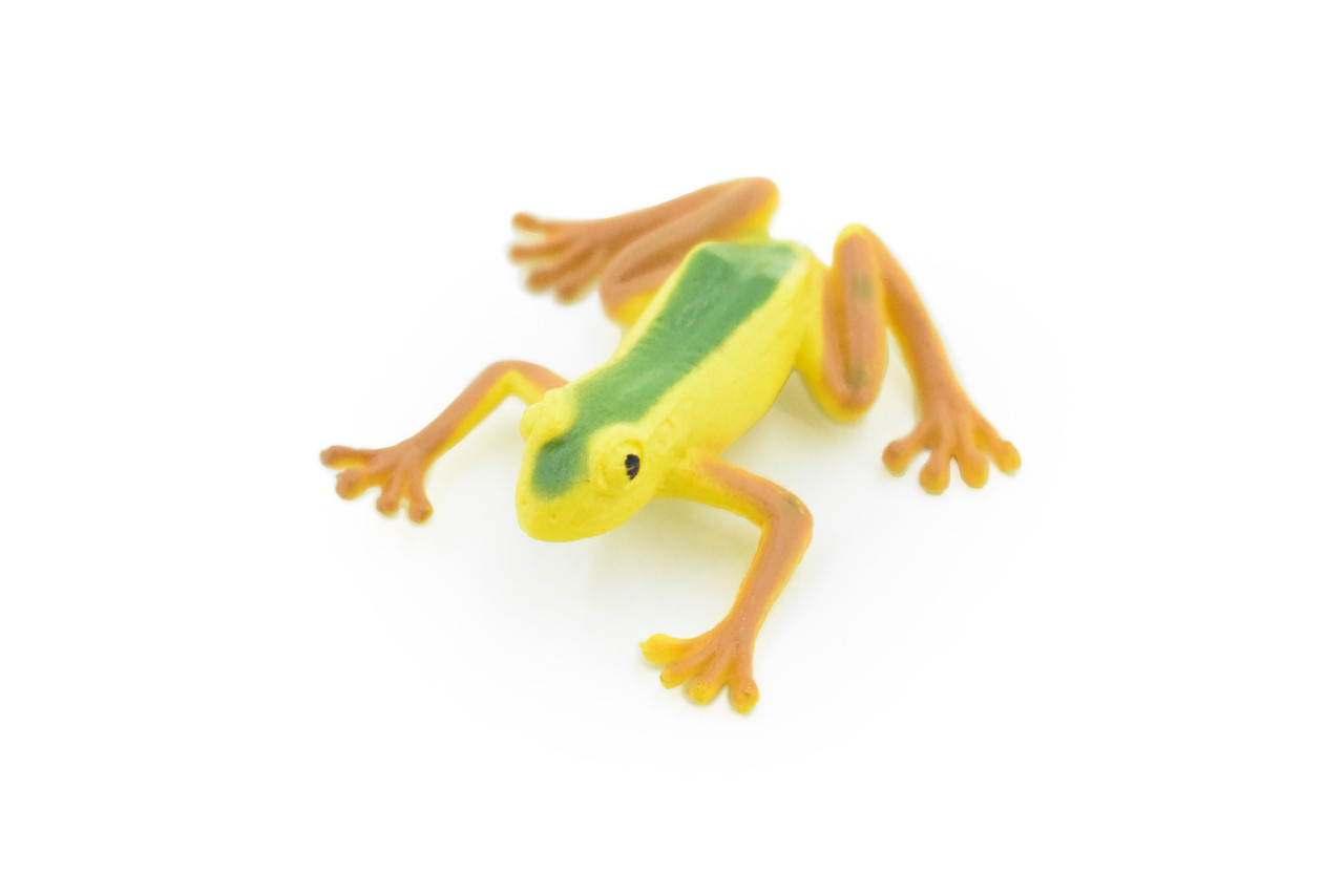 Frog, Yellow with Green Stripe Frog, Very Nice Plastic Design, Educational, Diorama, Realistic Figure, Lifelike, Replica, Toy, Kids,  1 1/2 Inches.  