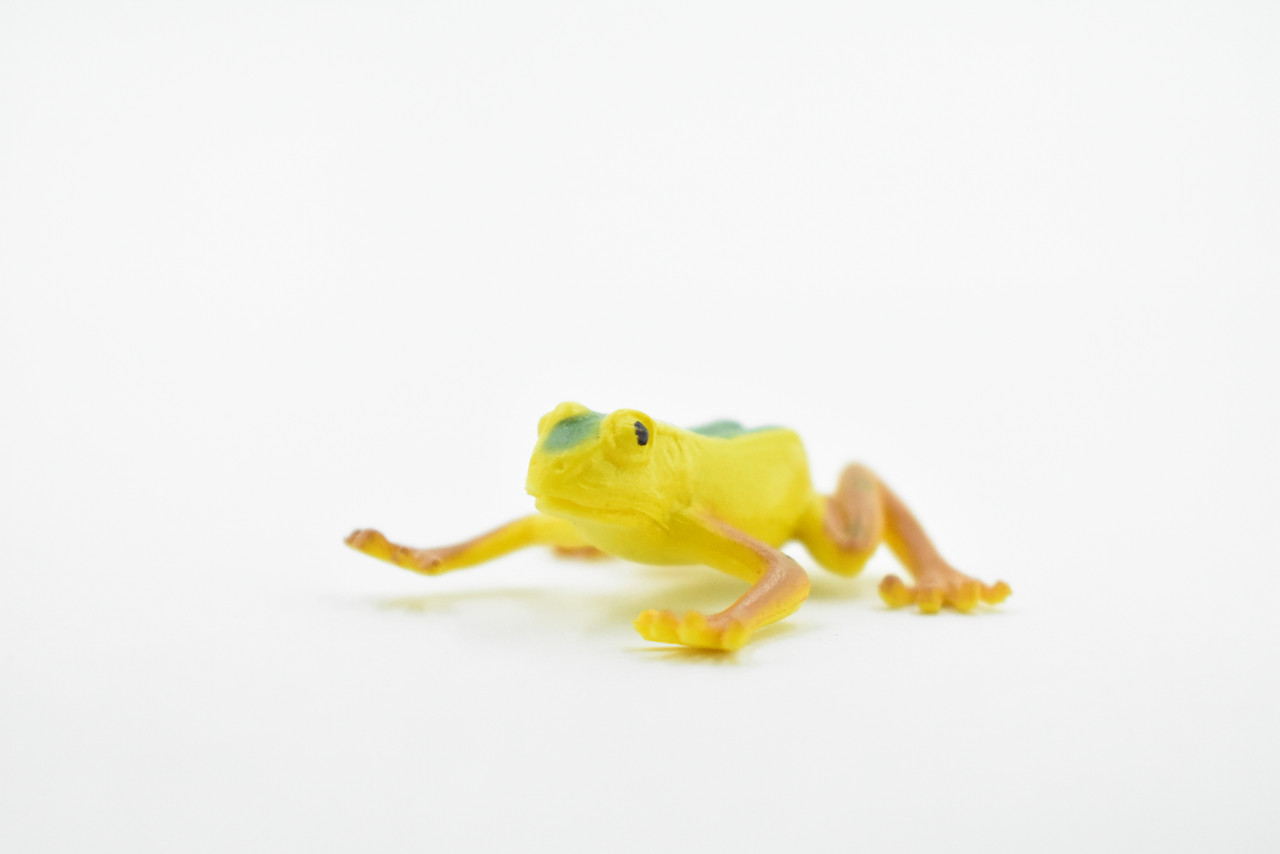 Frog, Yellow with Green Stripe Frog, Plastic Toy, Realistic, Figure, Model, Replica, Kids, Educational, Gift,    1 1/2"     CWG24 B47