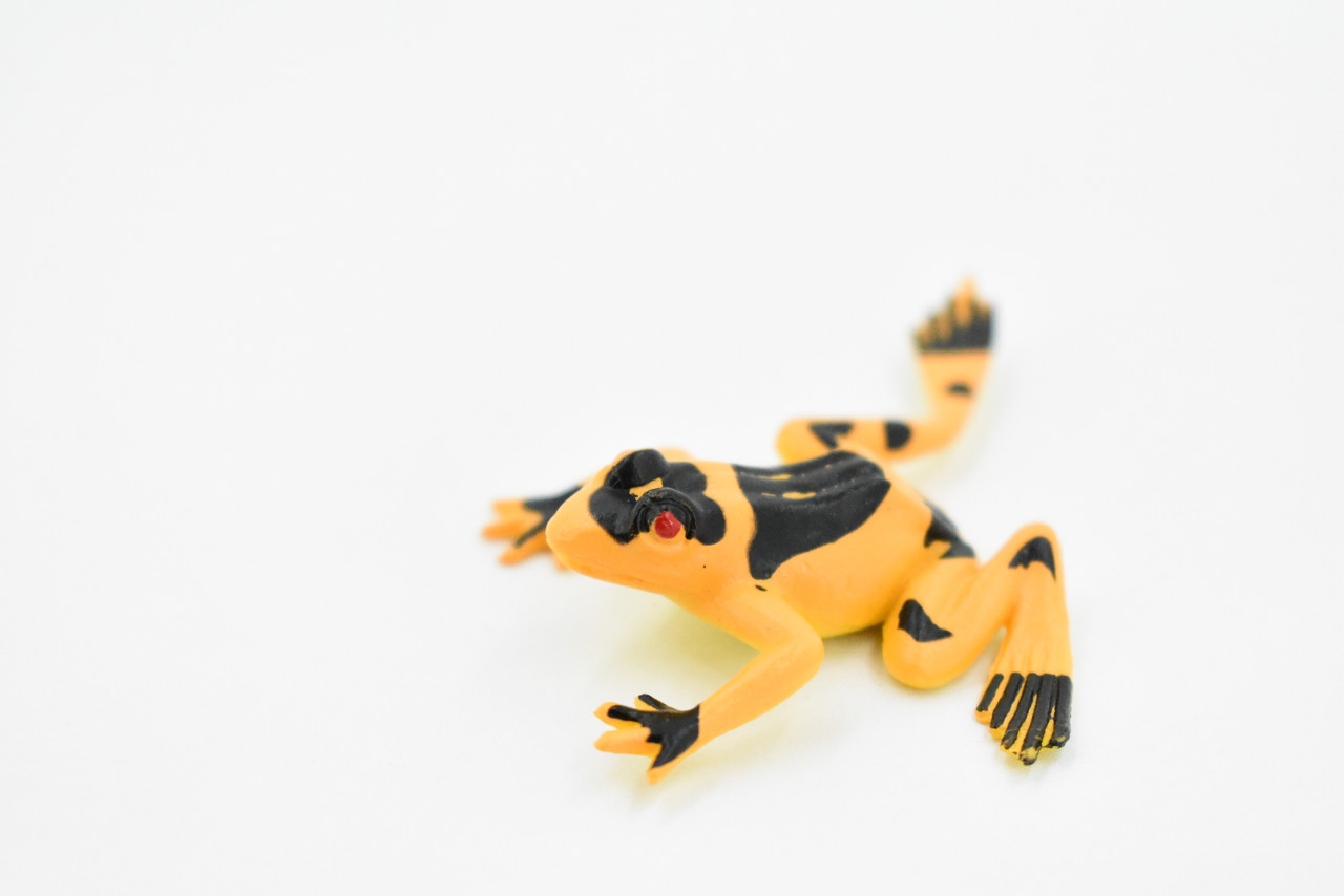 Frog, Orange Poison Dart Frog, Plastic Toy, Realistic, Figure, Model, Replica, Kids, Educational, Gift,    1 1/2"    CWG25B47