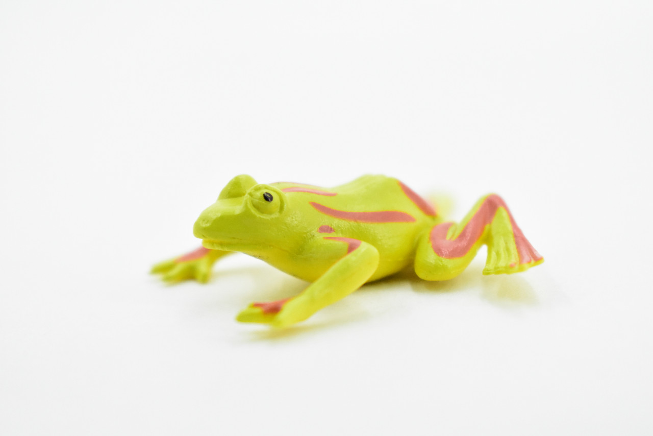 Frog, Green Striped Frog, Very Nice Plastic Design, Educational, Diorama, Realistic Figure, Lifelike, Replica, Toy, Kids,  1 1/2 Inches. 