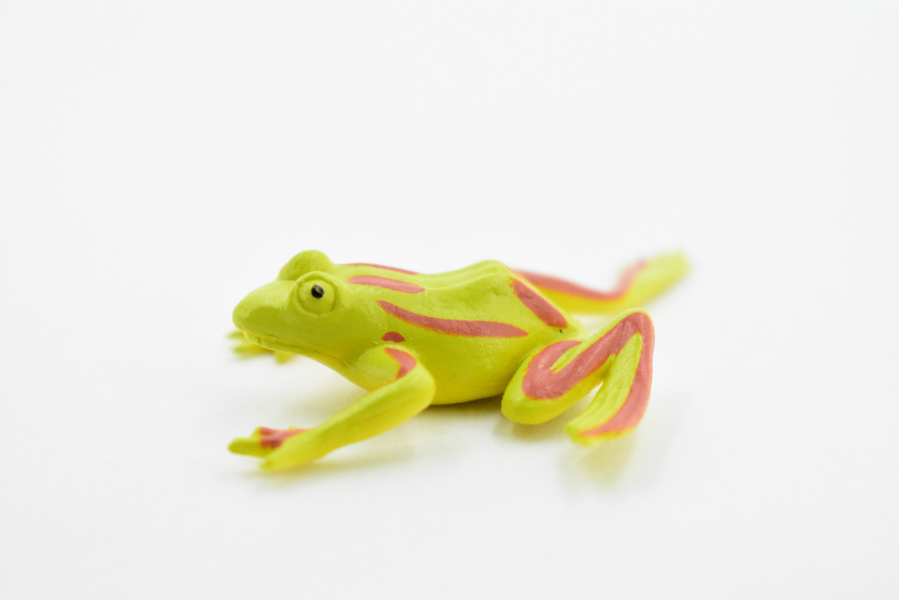 Frog, Yellow with Green Stripe Frog, Plastic Toy, Realistic, Figure, Model,  Replica, Kids, Educational, Gift, 1