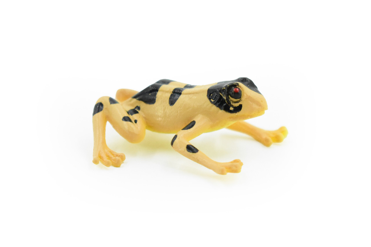 Frog, Brown & Black Pfrog, Plastic Toy, Realistic, Figure, Model, Replica, Kids, Educational, Gift,      1 1/2"    CWG27B47