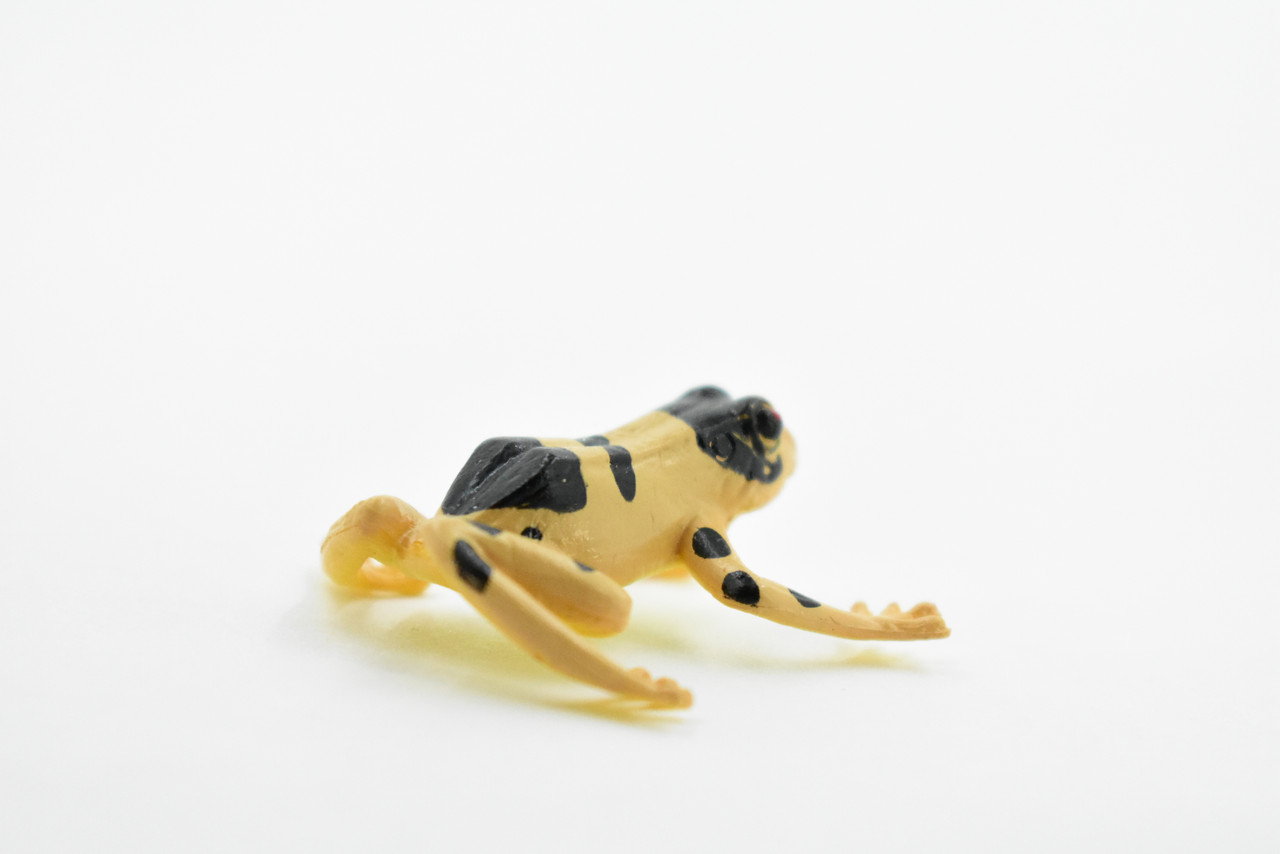 Frog, Brown & Black Pfrog, Plastic Toy, Realistic, Figure, Model, Replica, Kids, Educational, Gift,      1 1/2"    CWG27B47