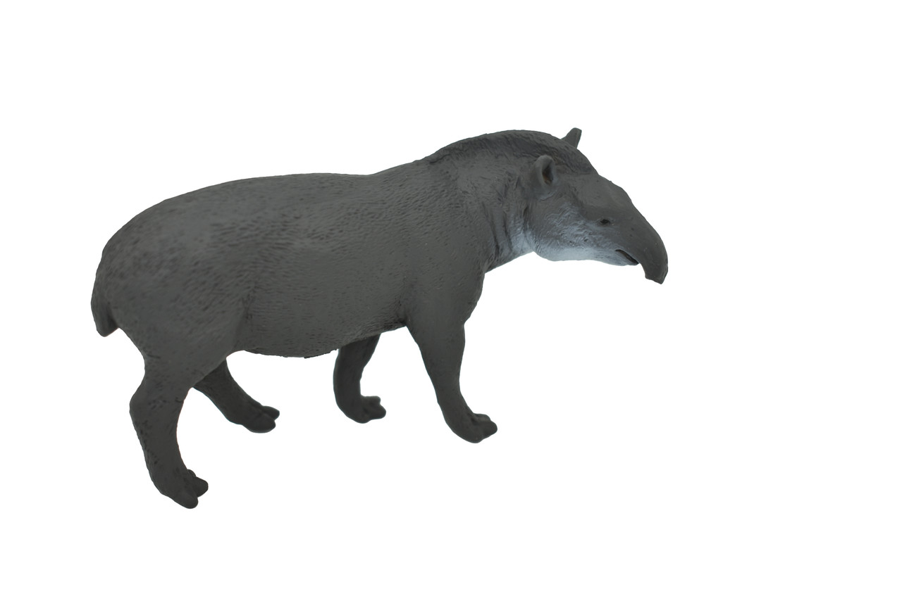Tapir, Brazilian Realistic Toy Model Plastic Replica Animal, Kids Educational Gift   4" M061 B641