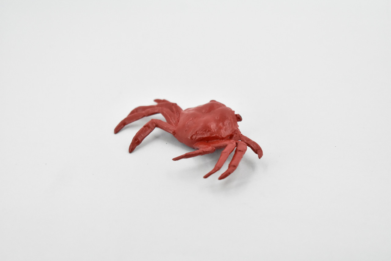 Sally Lightfoot Crab, Galapagos Islands, Educational, Hand Painted, Realistic Crab Figure, Lifelike, Diorama, Toy, Kids, Gift,   2 3/4 Inches.  F1591 B150