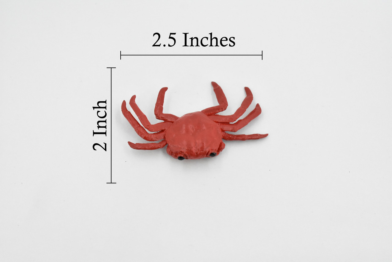 Sally Lightfoot Crab, Galapagos Islands, Educational, Hand Painted, Realistic Crab Figure, Lifelike, Diorama, Toy, Kids, Gift,   2 3/4 Inches.