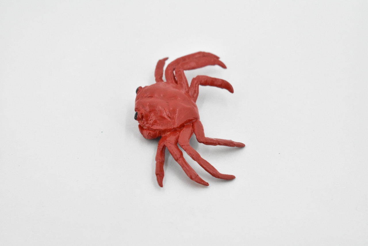 Sally Lightfoot Crab, Galapagos Islands, Educational, Hand Painted, Realistic Crab Figure, Lifelike, Diorama, Toy, Kids, Gift,   2 3/4 Inches.