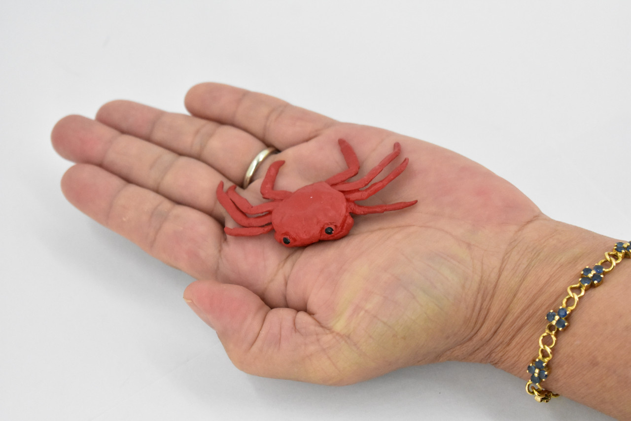 Sally Lightfoot Crab, Galapagos Islands, Educational, Hand Painted, Realistic Crab Figure, Lifelike, Diorama, Toy, Kids, Gift,   2 3/4 Inches.
