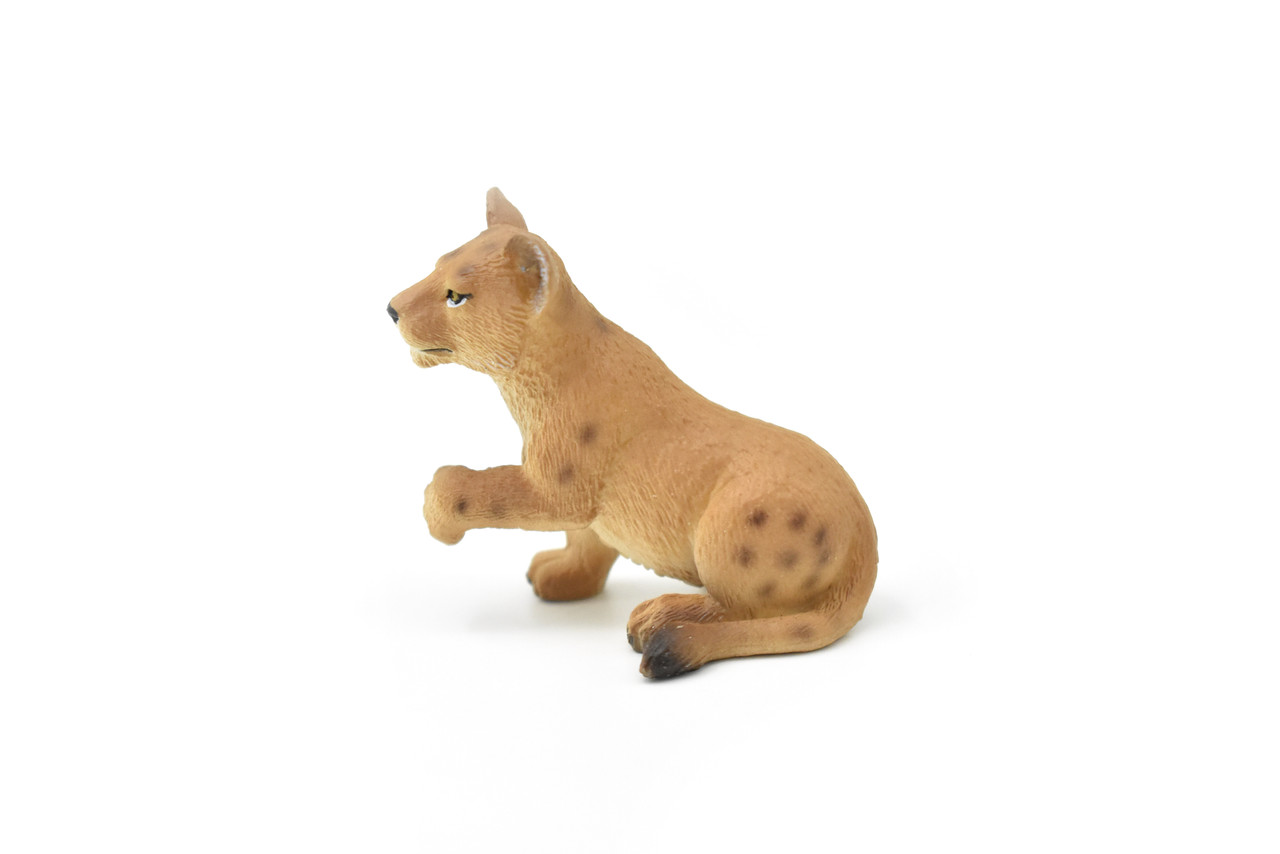 Lion Cub Sitting, Museum Quality  Plastic Replica  2"  M130-B649