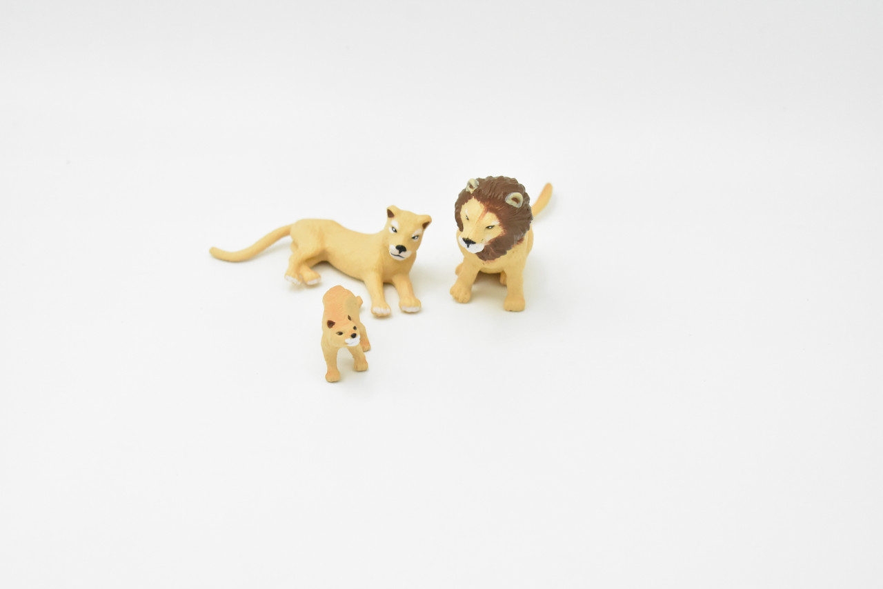 Male Lion, Lioness, Cub, Family Set of 3, Very Nice Rubber Design, Educational, Realistic Figure, Lifelike, Replica, Toy, Kids, Gift,   3 Inches.  F3919 B618