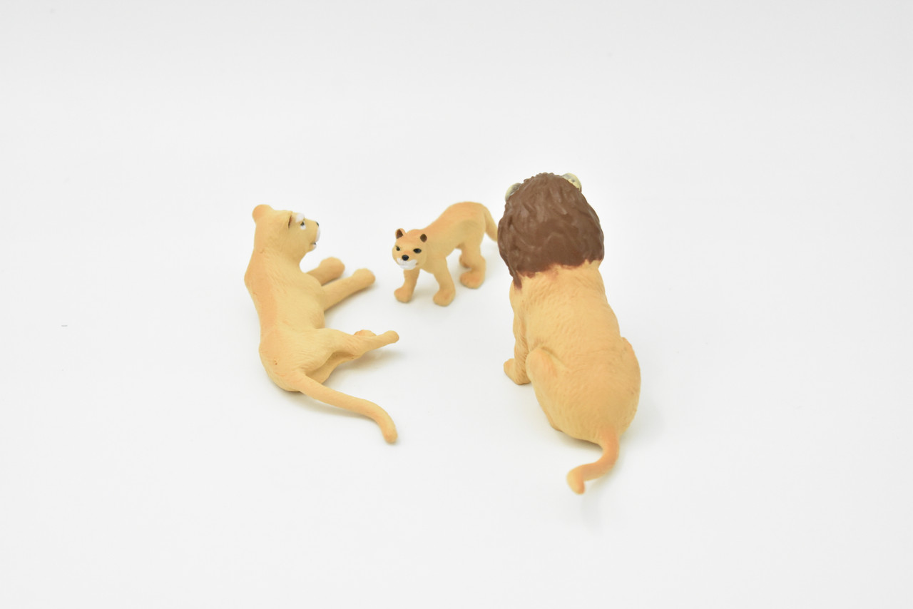 Male Lion, Lioness, Cub, Family Set of 3, Very Nice Rubber Design, Educational, Realistic Figure, Lifelike, Replica, Toy, Kids, Gift,   3 Inches.  F3919 B618