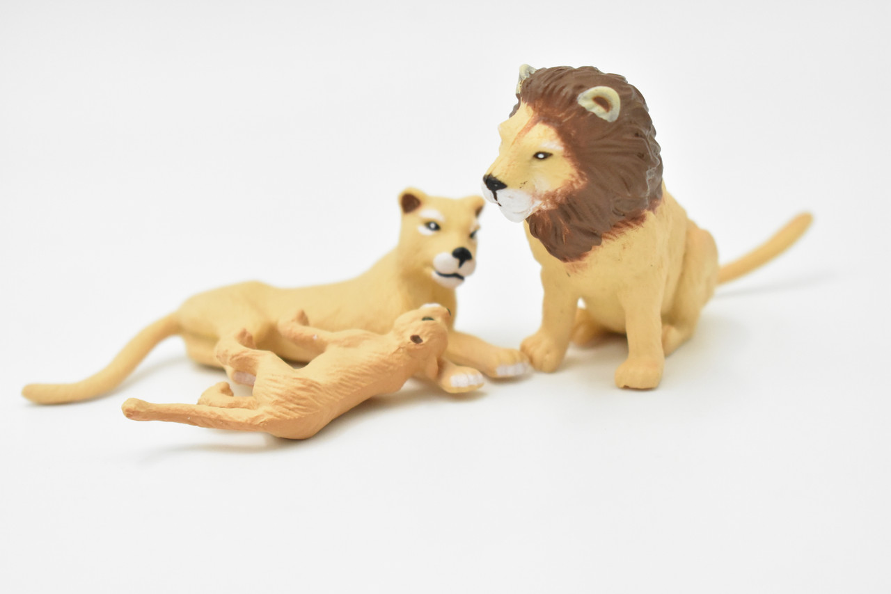 Male Lion, Lioness, Cub, Family Set of 3, Very Nice Rubber Design, Educational, Realistic Figure, Lifelike, Replica, Toy, Kids, Gift,   3 Inhces. 