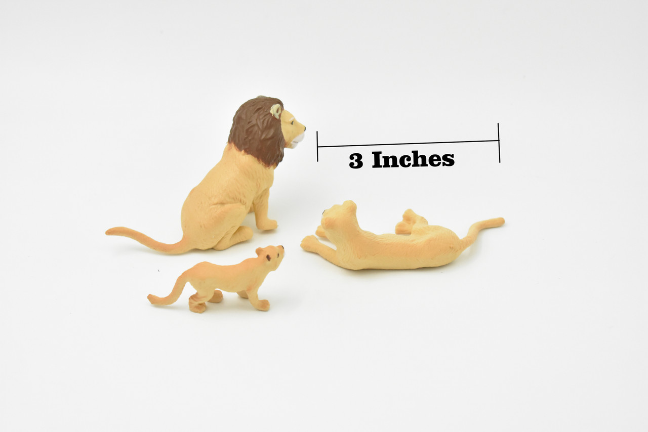Male Lion, Lioness, Cub, Family Set of 3, Very Nice Rubber Design, Educational, Realistic Figure, Lifelike, Replica, Toy, Kids, Gift,   3 Inhces. 