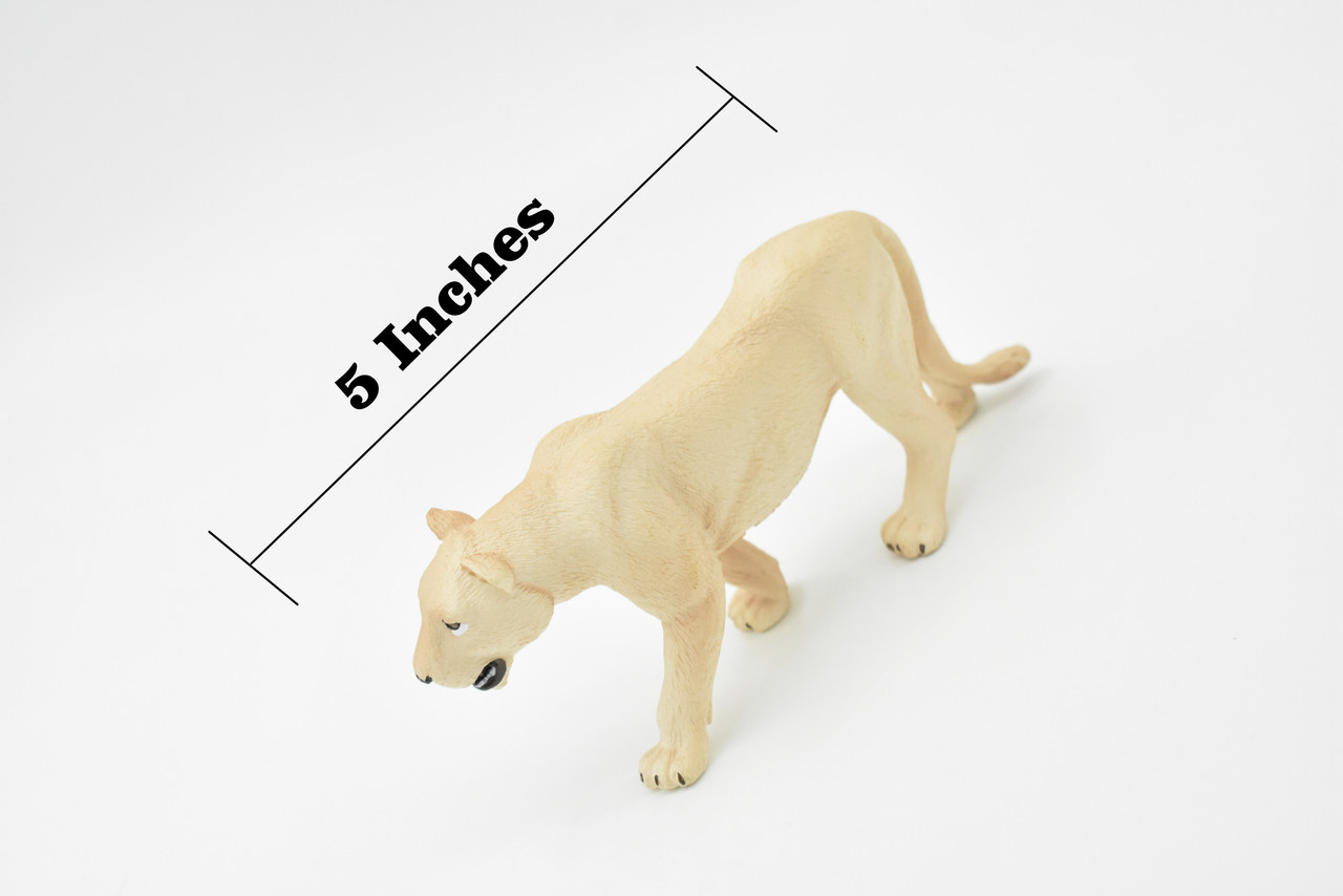 Lioness, White Lion, Realistic Small Toy Model Plastic Replica African Animal, Kids Educational Gift   5"    M059 B641