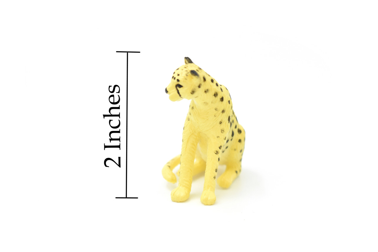 Cheetah, Sitting, Realistic Toy Model Plastic Replica Animal Kids Educational Gift   2" F4454 B55