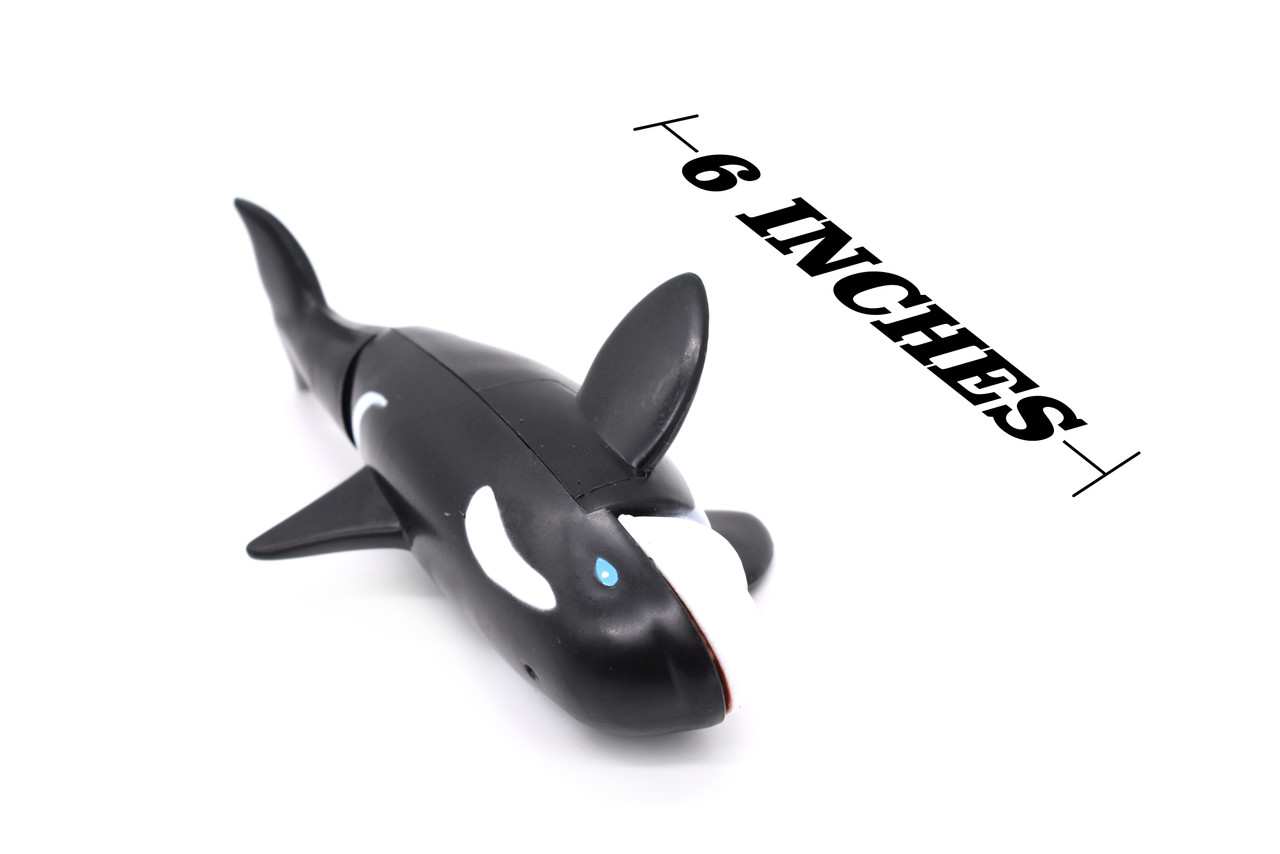 Orca, Killer Whale, Plastic Replica with Moveable Parts  6" Long   CWG56 B179