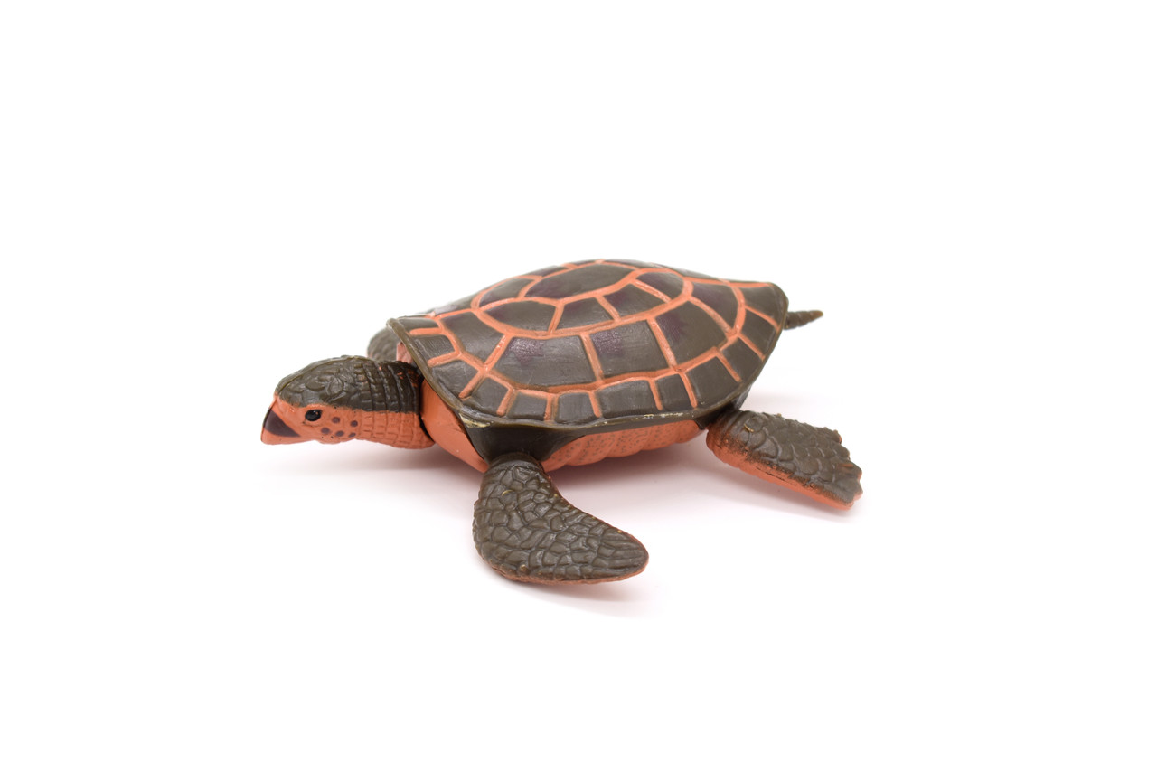 Sea Turtle, Hawksbill, Moveable Parts, Plastic Turtle, Design, Realistic Figure, Educational, Lifelike, Model, Figurine, Replica, Gift,     4"      CWG58 B179