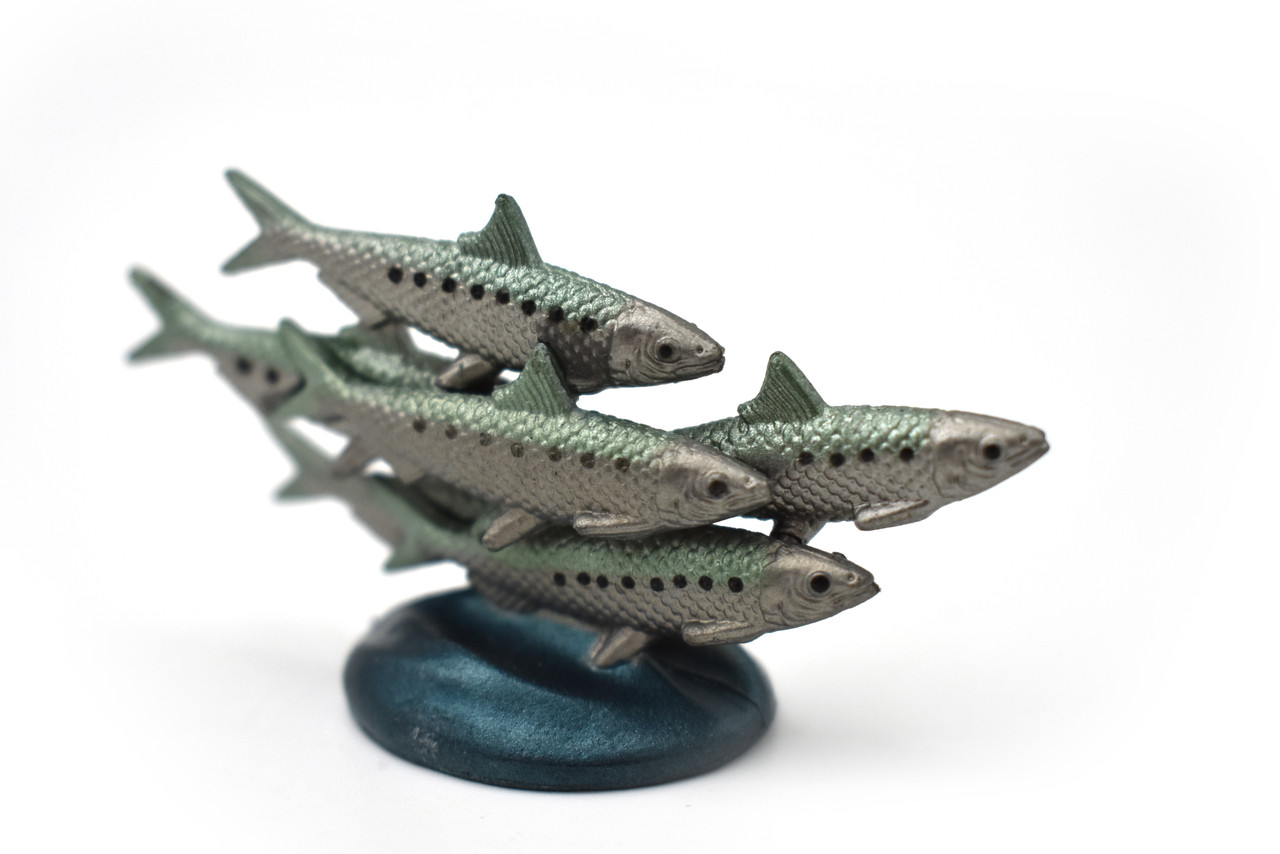 Herring, Sardines, School of Fish, Saltwater Fish, Rubber Fish, Hand Painted, Realistic, Figure, Model, Replica, Toy, Kids, Educational, Gift,       2 1/2"