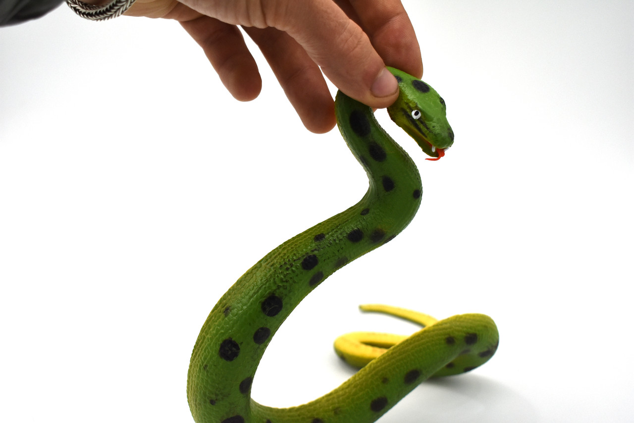 Green Anaconda, Snake, Rubber Reptile, Educational, Realistic, Hand Painted, Figure, Lifelike Model, Figurine, Replica, Toys, Gift,     10 Inches.    CWG45 B181