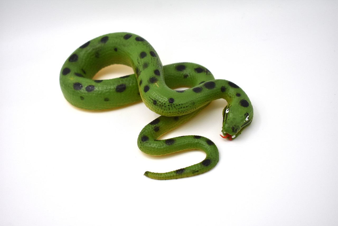 Snake, Green Anaconda, Rubber Reptile, Educational, Realistic Hand Painted, Figure, Lifelike Model, Figurine, Replica, Gift,     14"    CWG45 B181
