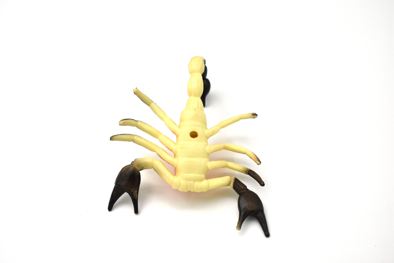 Scorpion, Rubber Toy Animal, Realistic Figure, Model, Replica, Kids Educational Gift,        4"         CWG50 B155