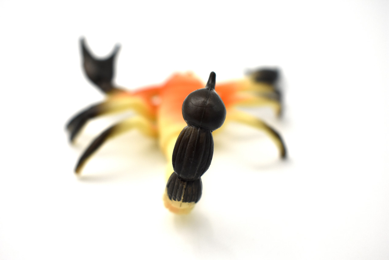 Scorpion, Arachnids, Very Nice Plastic Design, Educational, Diorama, Realistic Figure, Lifelike, Replica, Toy, Kids, Gift,   4 Inches.       CWG50 B155