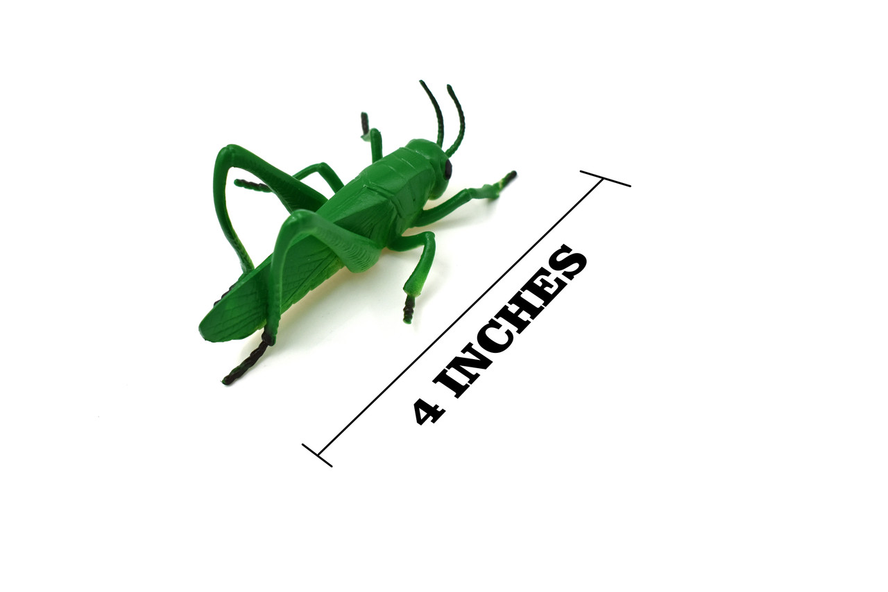 Grasshopper, Locusts, Caelifera, Realistic Rubber Model, Bug, Insect, Educational, Hand Painted, Figure, Lifelike, Model, Figurine, Replica, Toy, 4 Inches.