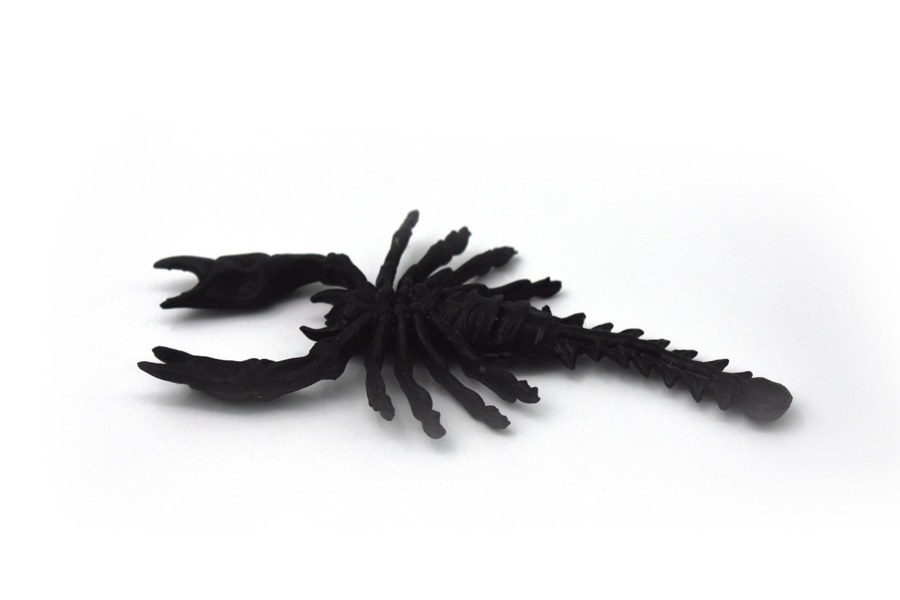 Scorpion, Black, Rubber Arachnids, Realistic Figure, Model, Replica, Kids Educational, Gift,      5"     CWG39 B217