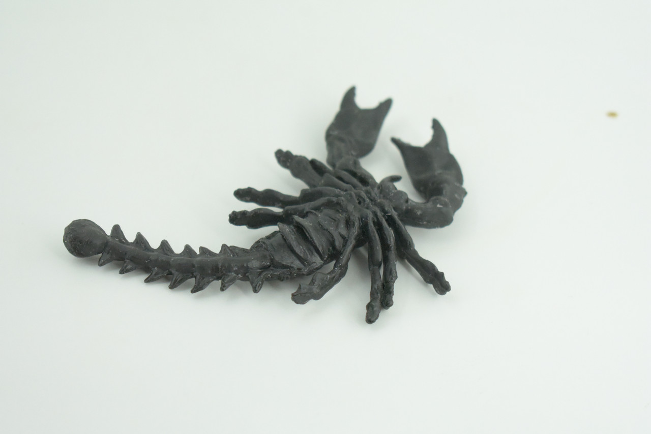 Scorpion, Black, Soft Rubber, Arachnids, Realistic Figure, Model, Replica, Toys, Kids, Educational, Gift,      5 Inches      CWG39 B217