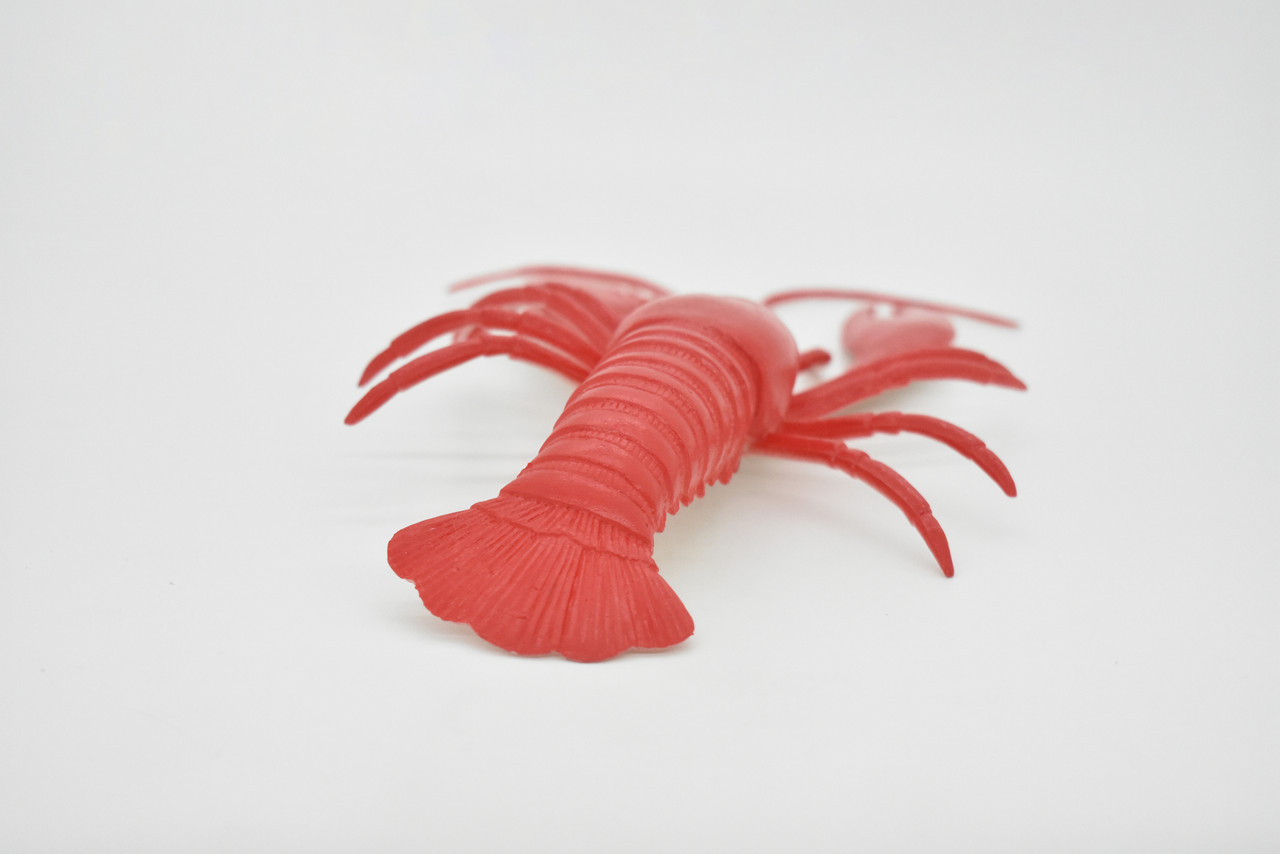 Lobster, East Coast, Maine, Red, Hard Plastic Crustaceans, Educational, Figure, Lifelike, Model, Replica, Gift,    11"      F021 BB1