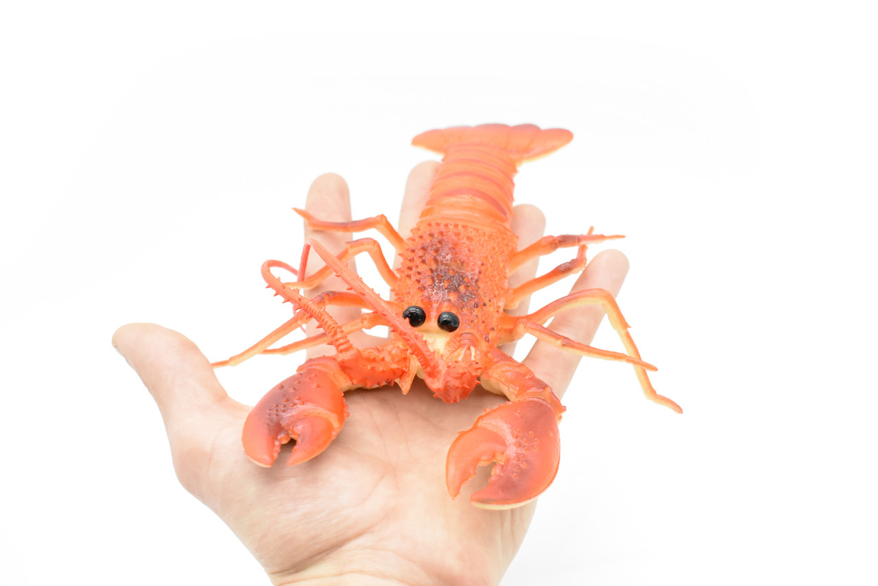 Lobster, Squeaks and Squirts Water, Rubber Crustaceans, Educational,  Figure, Lifelike, Model, Replica, Gift, 12 With Antenna