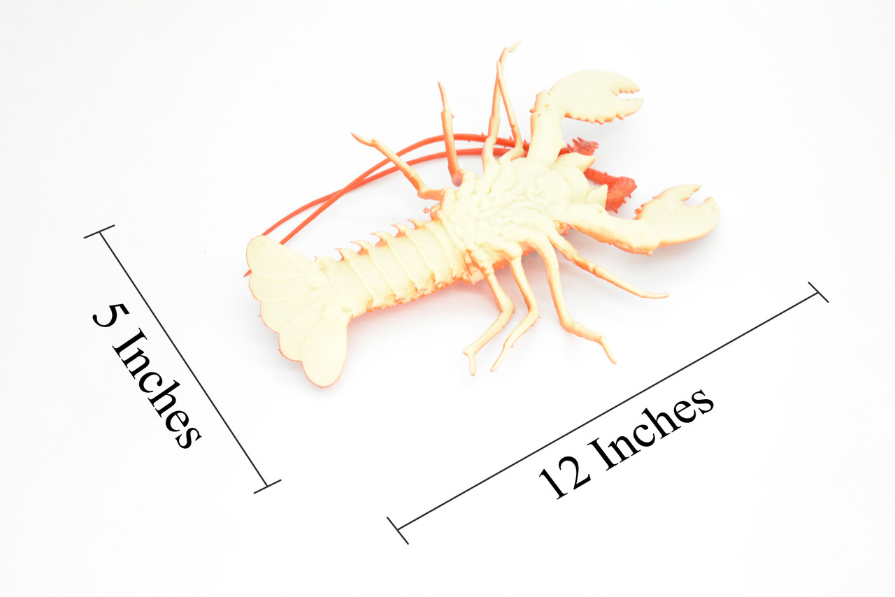 Lobster, Squeaks and Squirts Water, Rubber Crustaceans, Educational, Figure, Lifelike, Model, Replica, Gift,    12"   With Antenna    F1461 B212