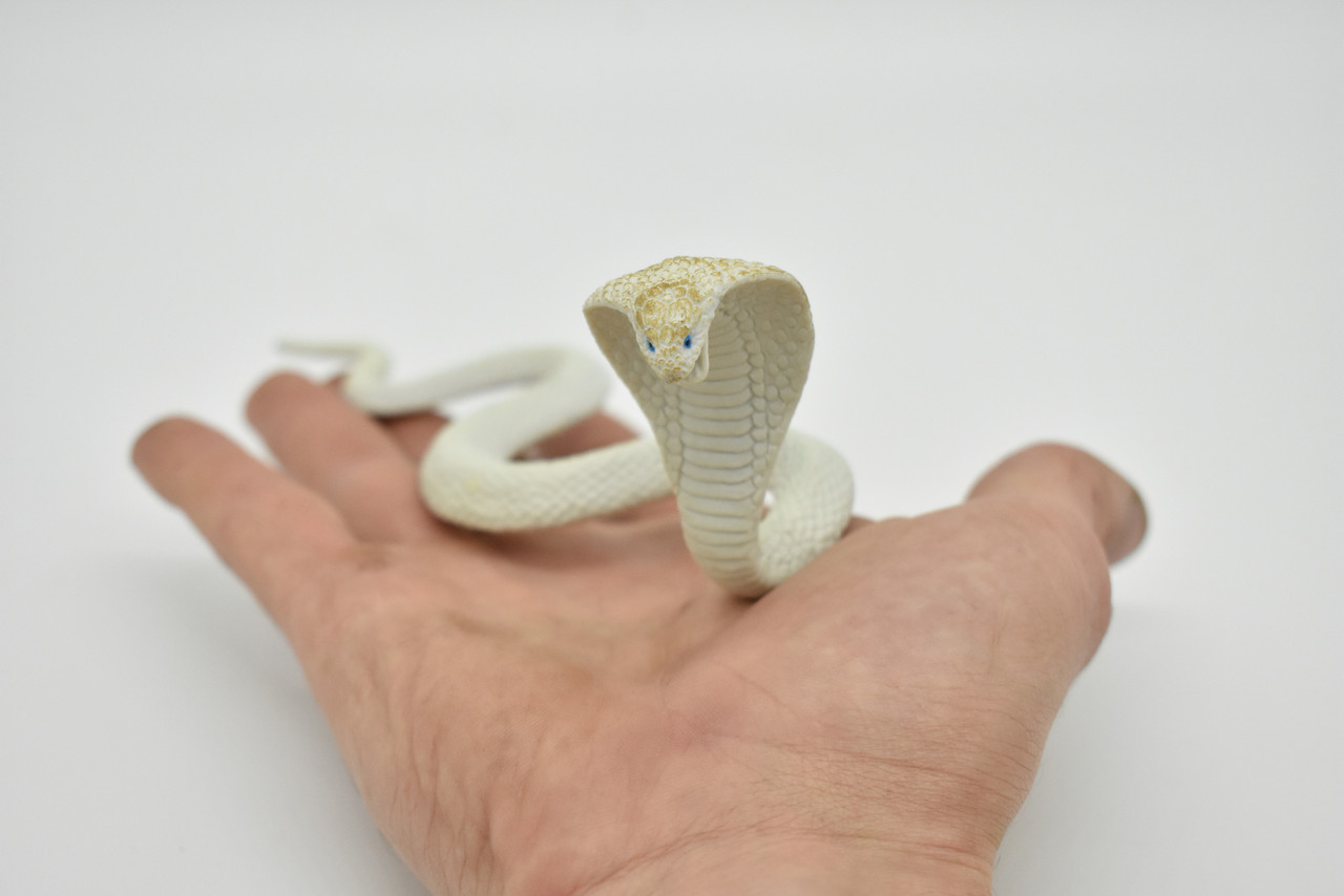 Snake, Cobra, White, Museum Quality, Rubber Reptile, Educational, Realistic Hand Painted, Figure, Lifelike Model, Figurine, Replica, Gift,     7"     F670 B623