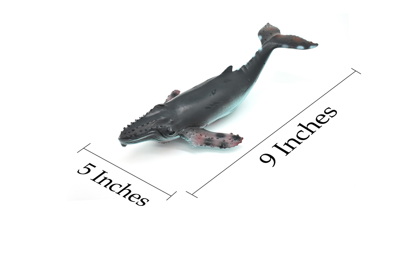 Humpback Whale, Hand Painted, High Quality, Soft Rubber Whale, Realistic, Toy Figure, Model, Replica, Kids, Educational, Gift,    9 Inches
