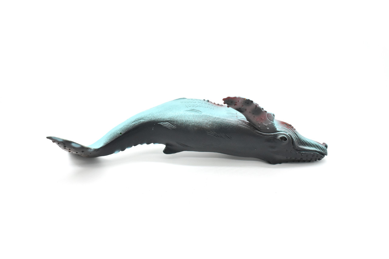 Humpback Whale, Hand Painted, High Quality, Soft Rubber Whale, Realistic, Toy Figure, Model, Replica, Kids, Educational, Gift,    9"   F098 B495