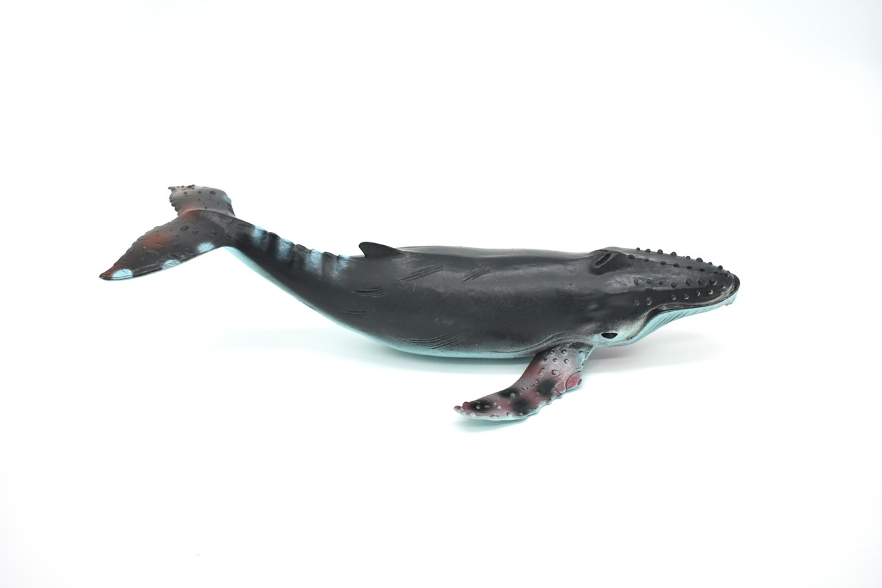 Humpback Whale, Hand Painted, High Quality, Soft Rubber Whale, Realistic, Toy Figure, Model, Replica, Kids, Educational, Gift,    9"   F098 B495