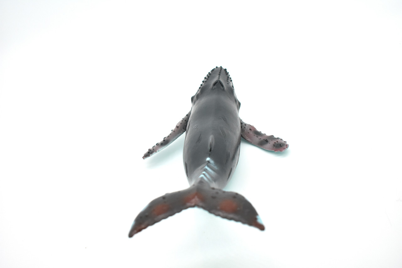Humpback Whale, Hand Painted, High Quality, Soft Rubber Whale, Realistic, Toy Figure, Model, Replica, Kids, Educational, Gift,    9"   F098 B495