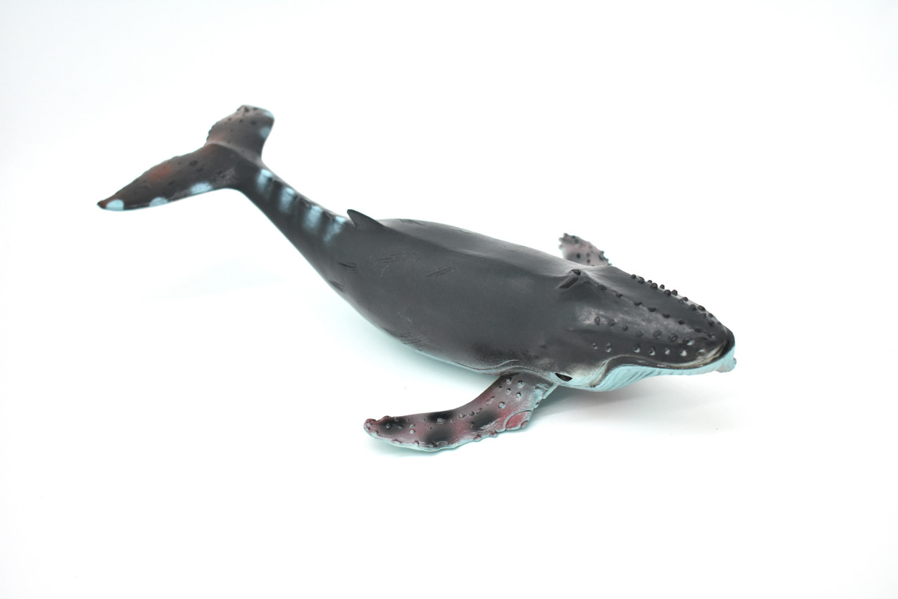 Humpback Whale, Hand Painted, High Quality, Soft Rubber Whale, Realistic, Toy Figure, Model, Replica, Kids, Educational, Gift,    9"   F098 B495